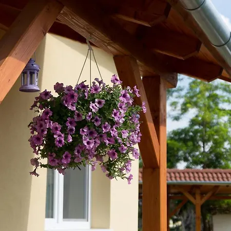 Levendula Vendeghaz Tiszaszolos