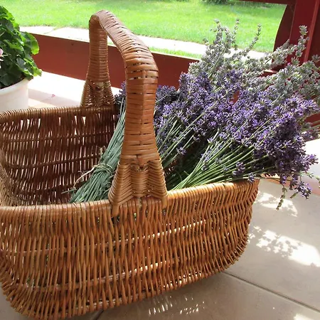 招待所 Levendula Vendeghaz Tiszaszolos