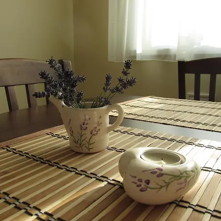 招待所 Levendula Vendeghaz 3*