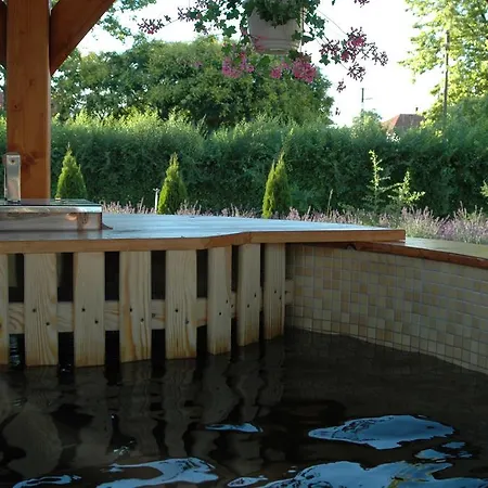 Levendula Vendeghaz Tiszaszolos